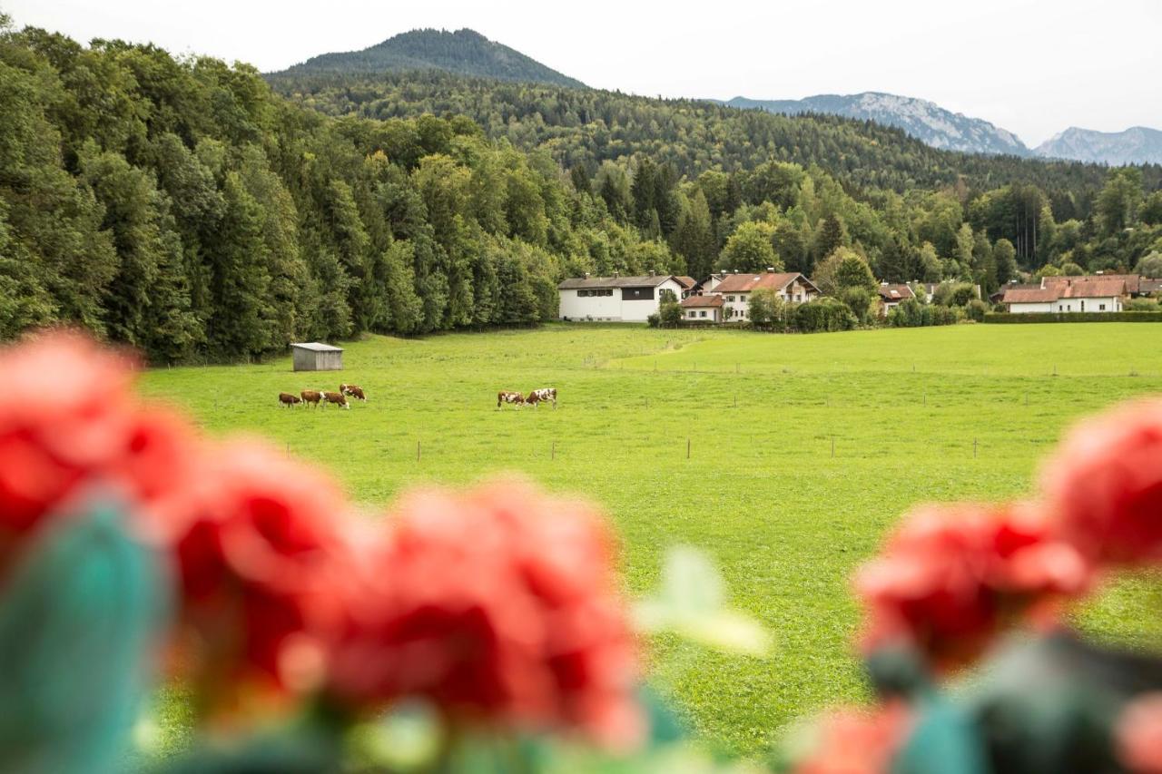 Ferienwohnungen Am Alpenrand Siegsdorf Exterior foto